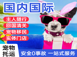 腾鳌机场货运国际宠物托运 【国